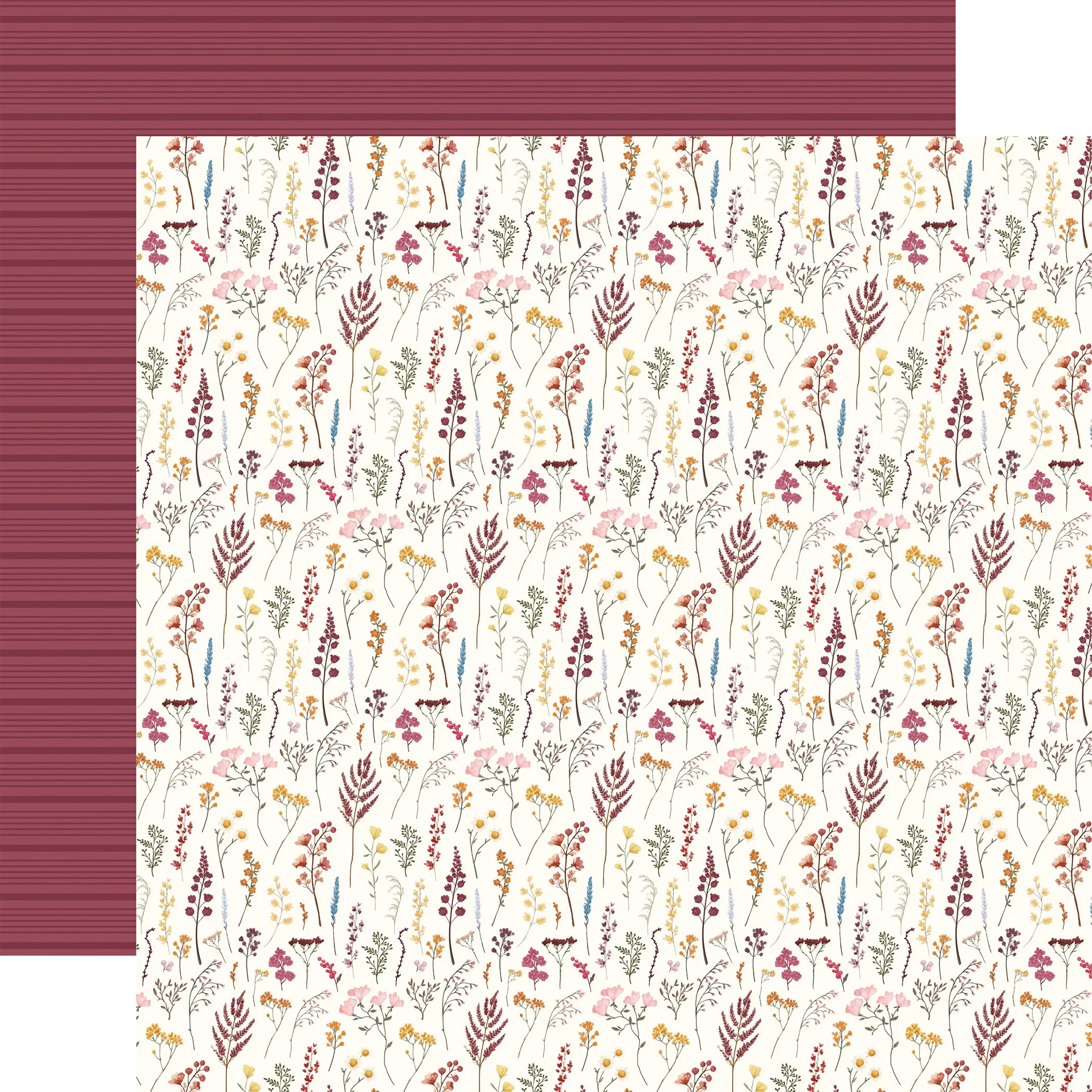 Imagen del producto 11
